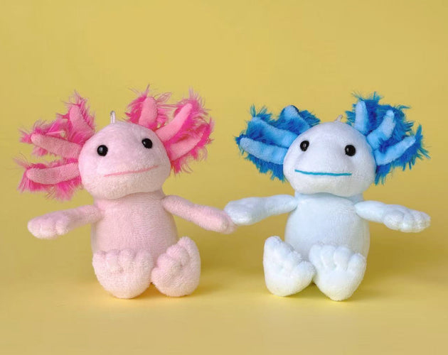 Magnetic Axolotl Pair - Coral & Aqua 4''